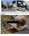 Straż Miejska.