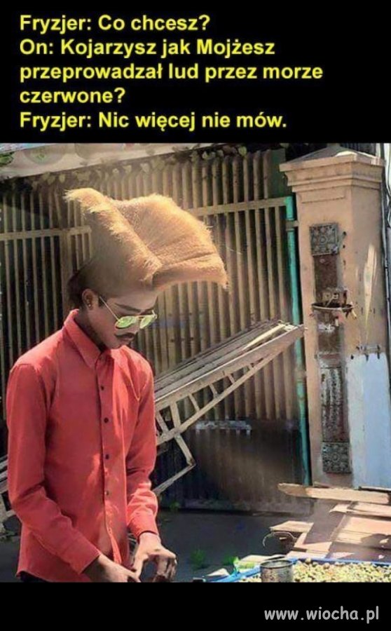 Fryzjer zrozumie
