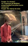 Fryzjer zrozumie