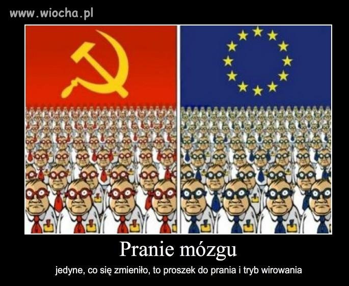 No coś w tym jest 