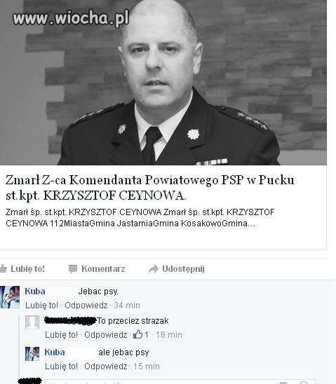 Bezmózg z serii "JP, HWDP"