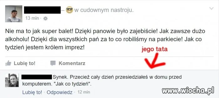 Synek