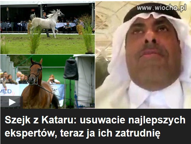 "Dobra zmiana" w zarządach stadnin.