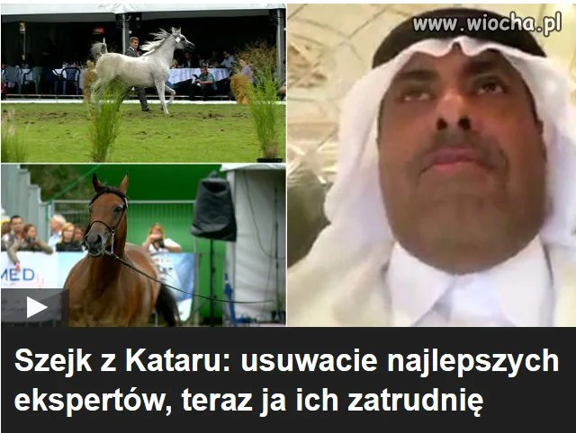 "Dobra zmiana" w zarządach stadnin.