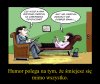 Humor, dobra zabawa ...
