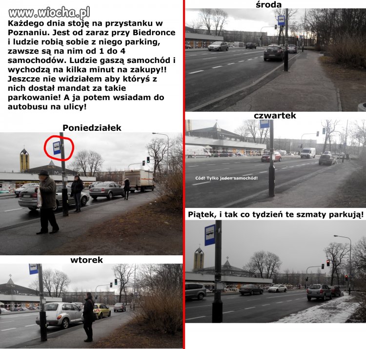 Janusze parkowania w tysiącach liczone! Poznań 