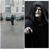 Imperator na zakupach