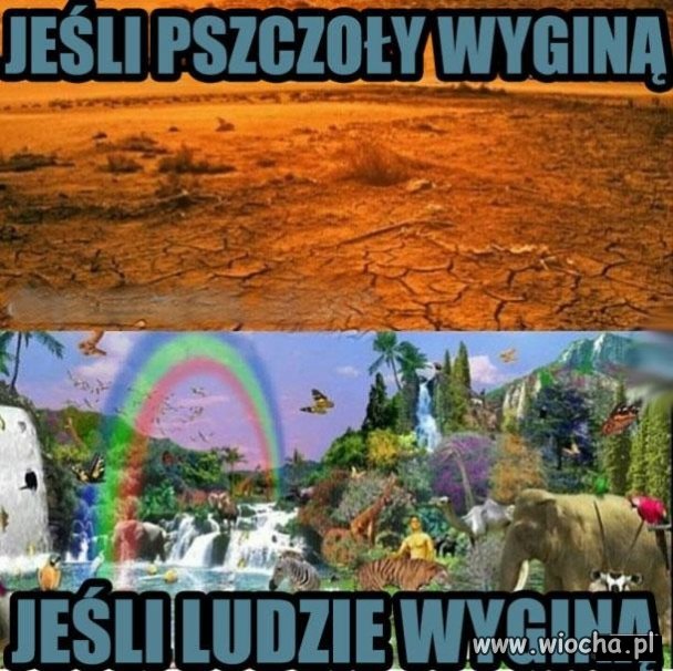 Myślcie co chcecie
