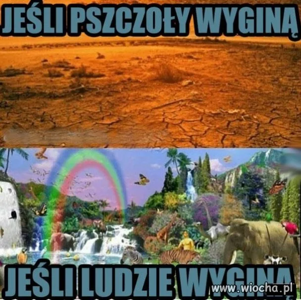 Myślcie co chcecie