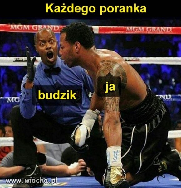 Poranek