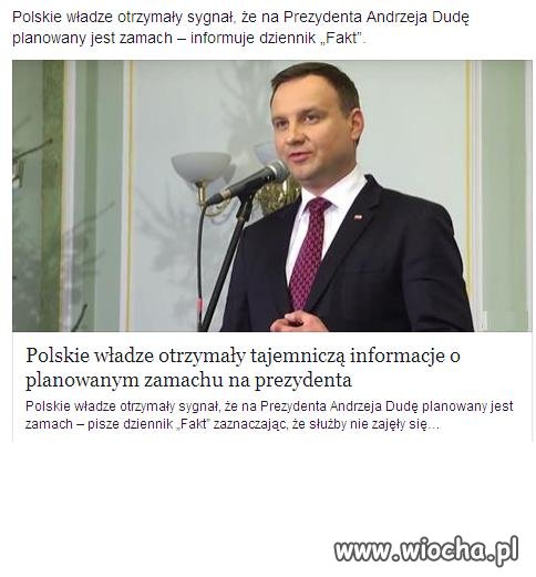 Kociarze coś kombinują.