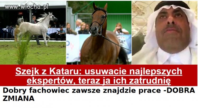 Żal patrzeć