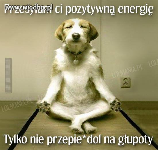 To dla kilku najaktywniejszych trolli 