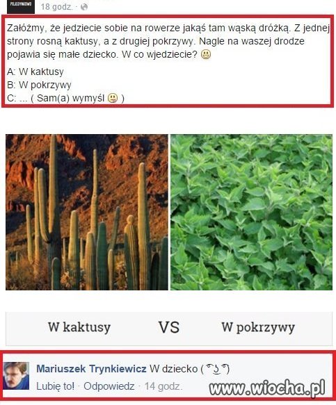 W co byś wjechał