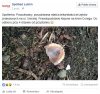 Przyznawać się kto zgubił 