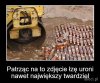 Nie można tego się pozbyć zgodnie z przeznaczeniem... tyle suchych mord na osiedlach..