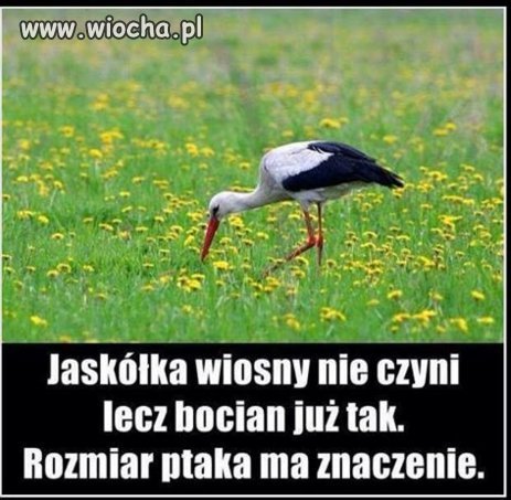 Jednak ma