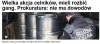 Pokazówka była? Była!!!