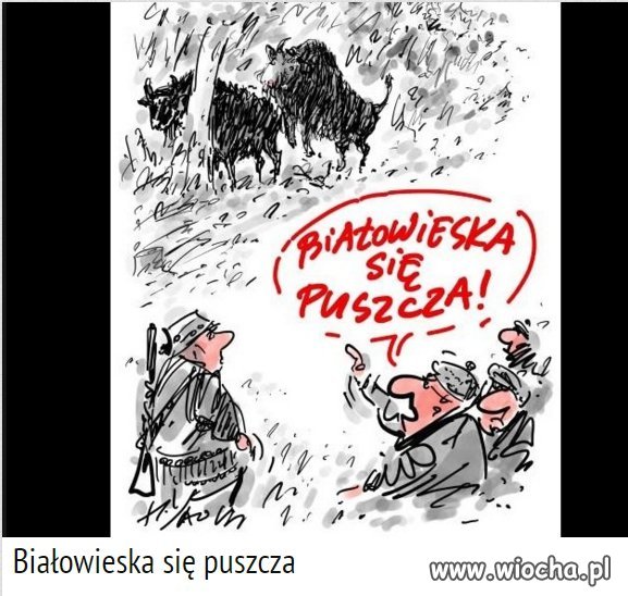 Znawca puszczy 