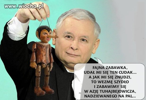 Taki duży