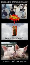 Droga do raju