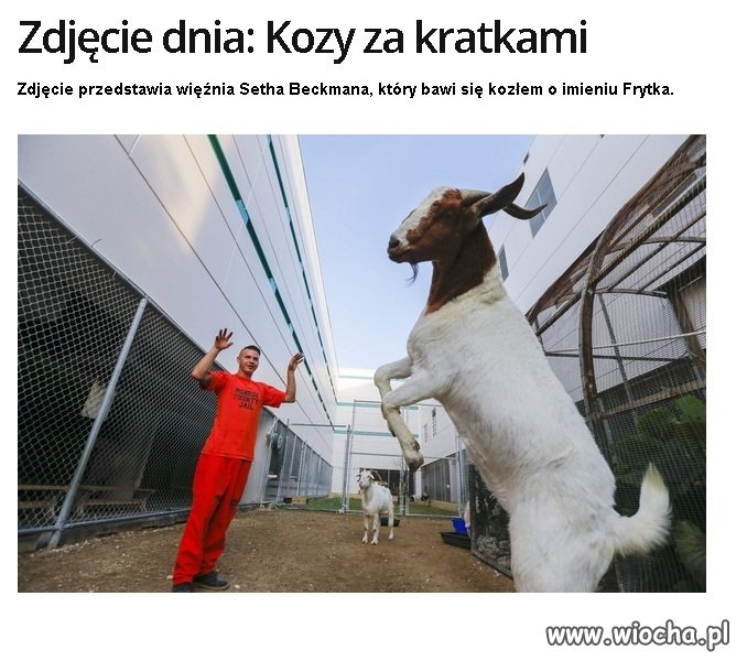 W USA otworzono więzienia dla muzułmanów