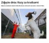 W USA otworzono więzienia dla muzułmanów