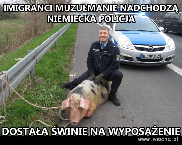 Niemcy już mogą być spokojni ...