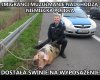 Niemcy już mogą być spokojni ...