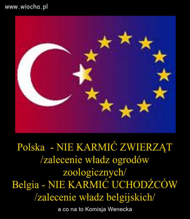 Co tam Komisja Wenecka...