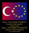 Co tam Komisja Wenecka...