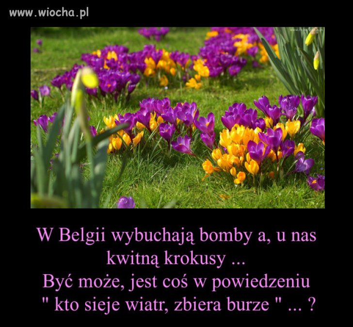 Z pozdrowieniami dla wszystkich