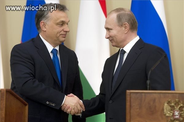 Nowi sojusznicy Polski według PiS 