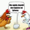 Uparty kurczak !