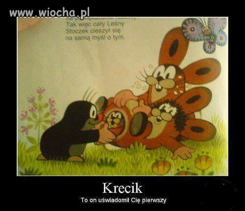 Krecik uświadamia jako pierwszy 