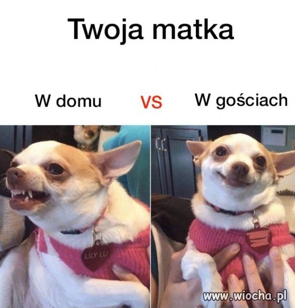 Mam tak samo...