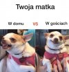 Mam tak samo...