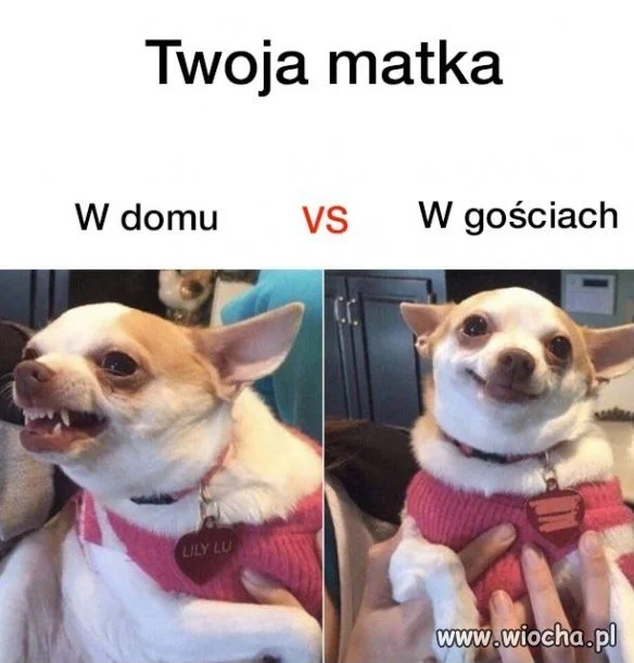 Mam tak samo...