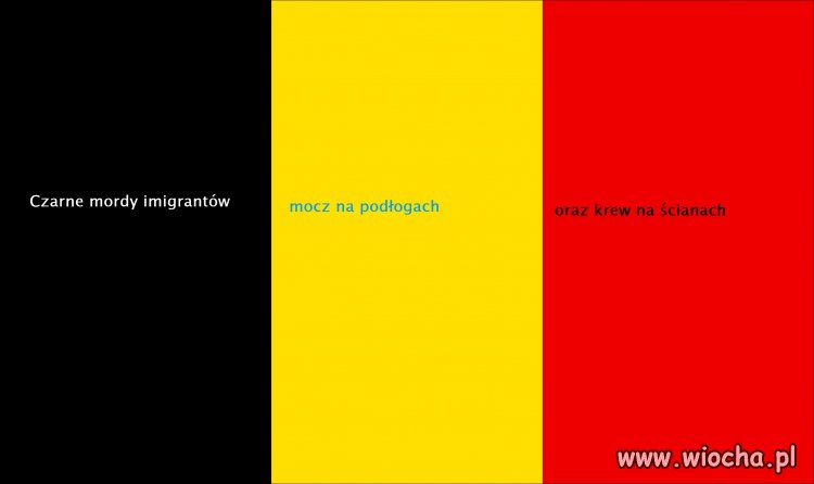 Nowe znaczenie barw Flagi Belgii