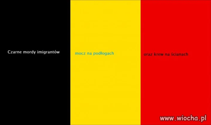 Nowe znaczenie barw Flagi Belgii