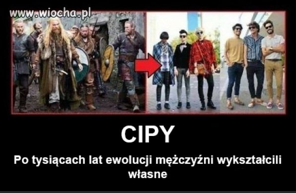 Coś w tym jest...