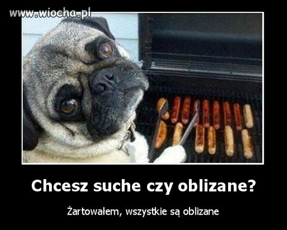 Chcesz kiełbaskę?