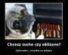 Chcesz kiełbaskę?