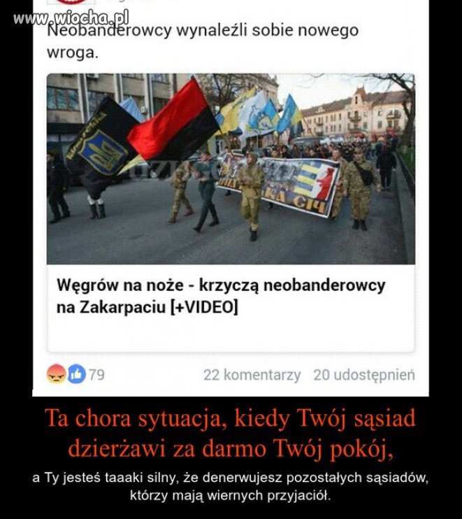 Szukanie wrogów ...