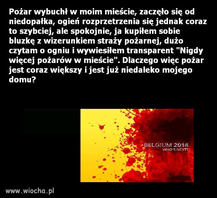 Bez zbędnego komentarza ... 