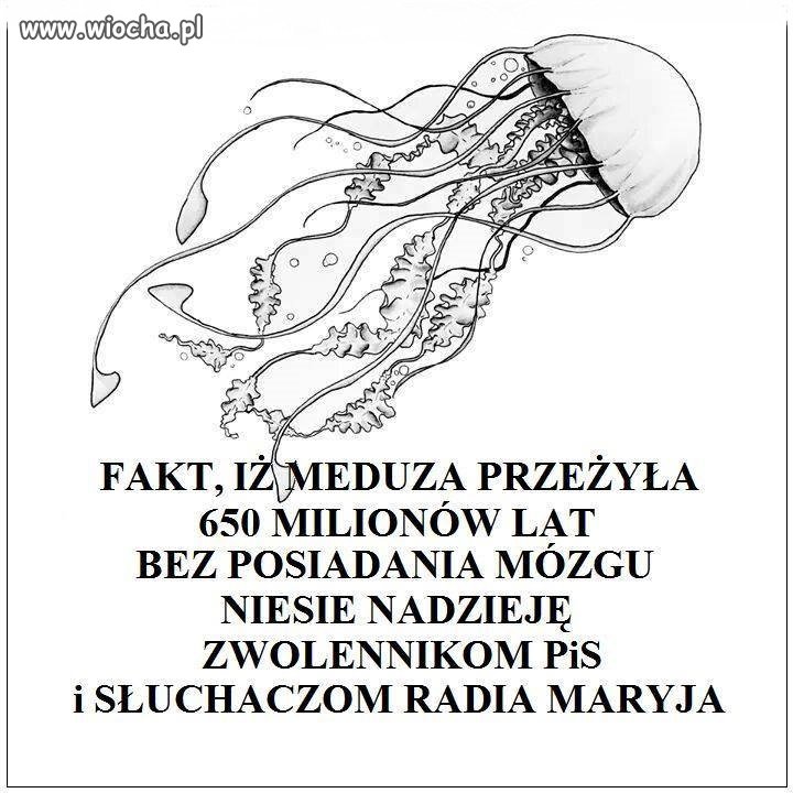 Pomarzyć fajna sprawa