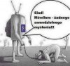 TVPiS...