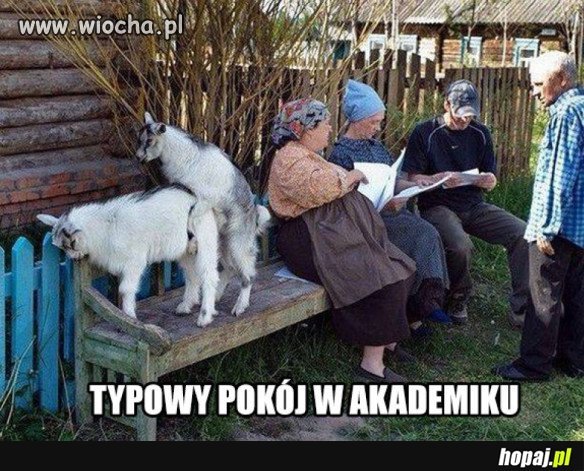 Akademik