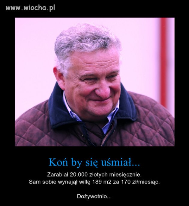 Były prezes stadniny ... 