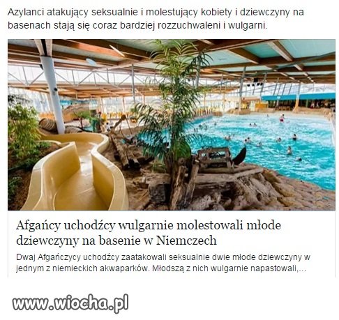 Bezkarni i coraz bardziej rozzuchwaleni.
